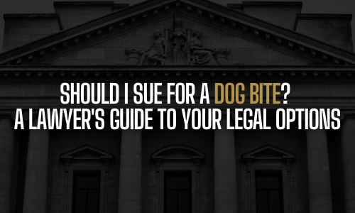 Legal options for dog bite victims